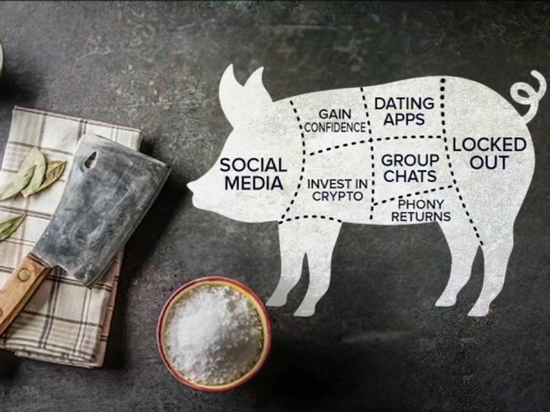 The 2026 Crypto Scam Warning List: How to Spot Pig Butchering Scams and Avoid Fake Trading…