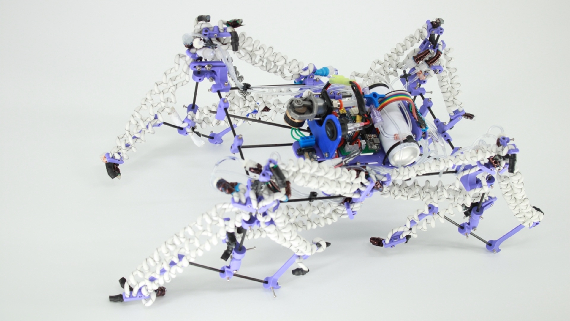 US scientists make air-powered muscles that help robots lift 100x their weight