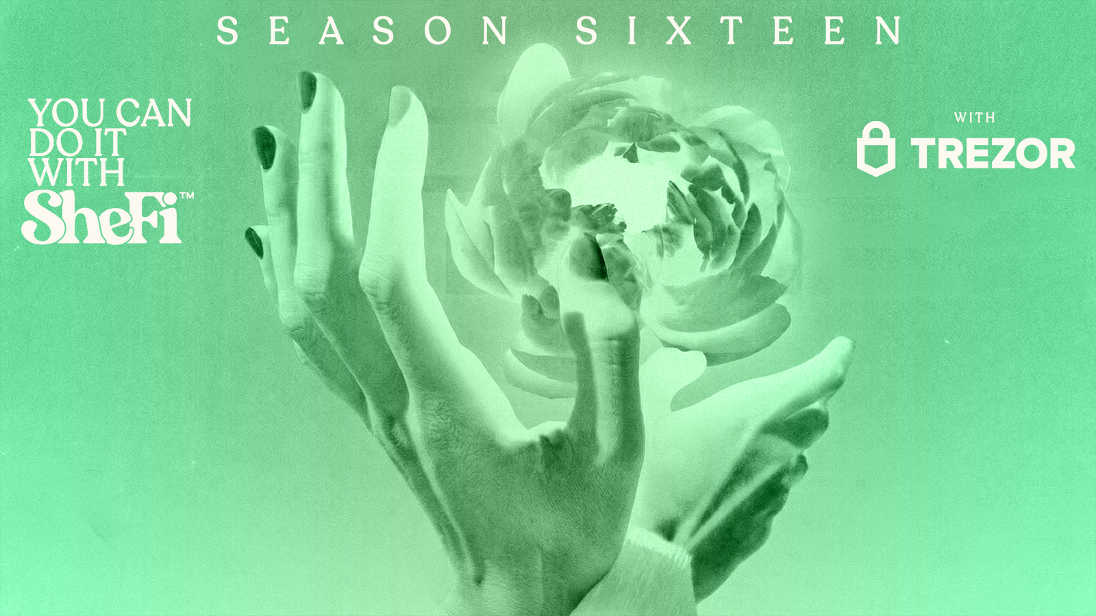 Week 2 of SheFi: Wonder Wallets – and the most terrifying 20 minutes of the course so far