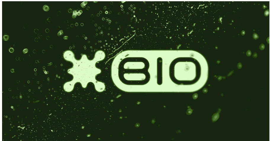 Why 2026 is the Best Time to Invest in Bio Protocol (BIO)?