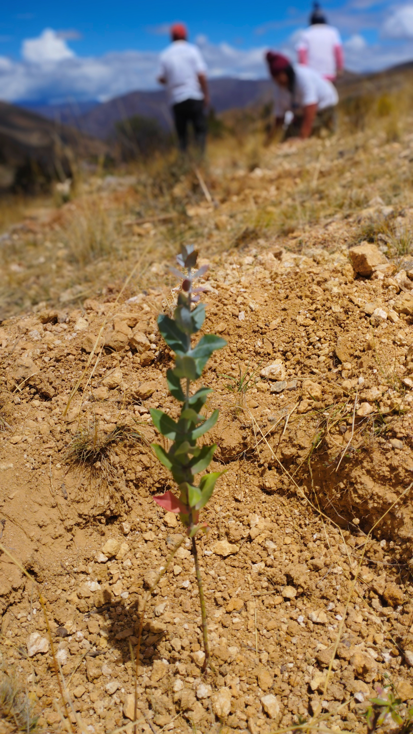 Your Dollar Is Not a Donation. It’s a Direct Climate Solution