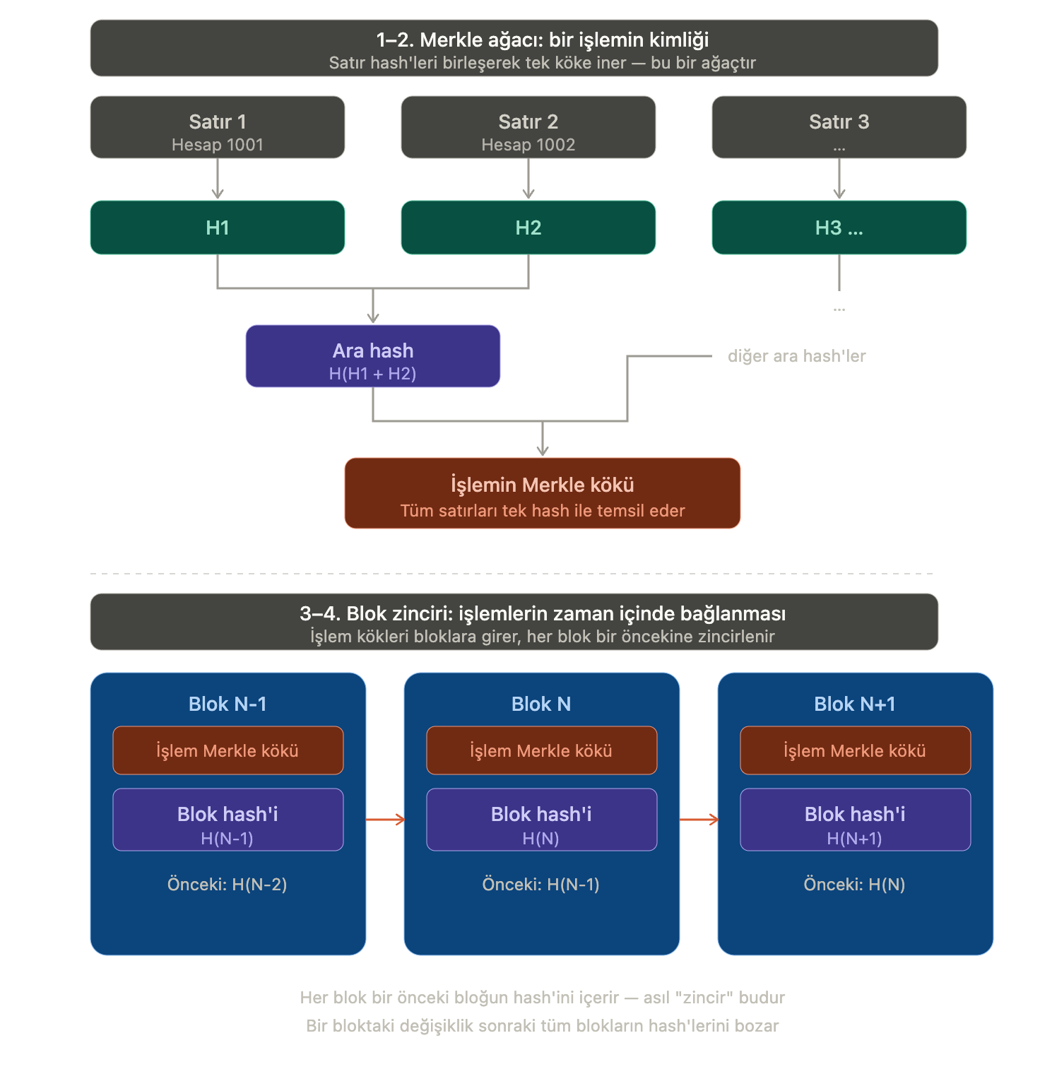 Bir veritabanı blockchain’den ne öğrenebilir? SQL Server Ledger örneği