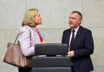 Die EU baut ein Demokratieschild und niemand weiß, was es tut