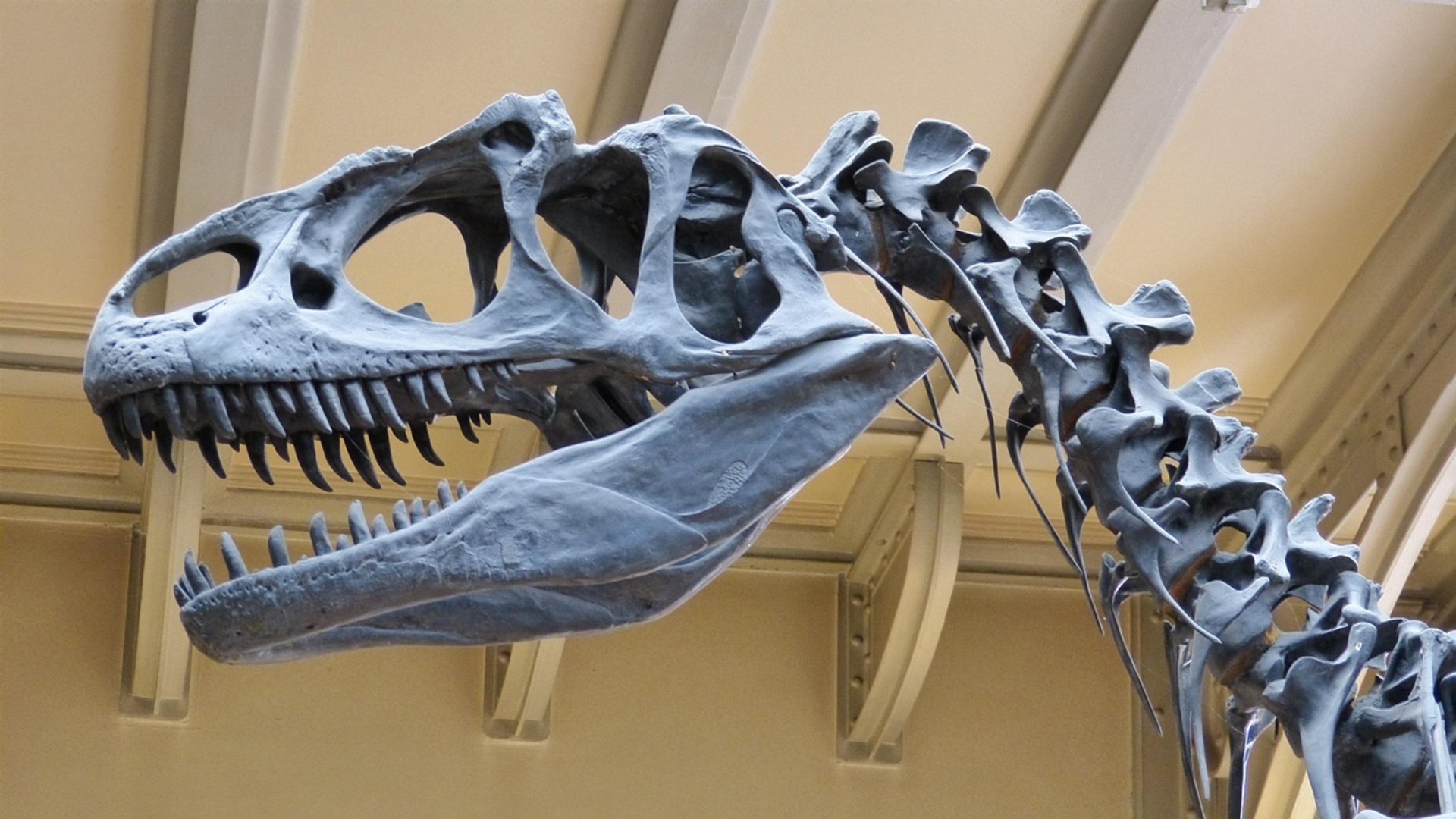 Dinosaurs first emerged 10 million years earlier than previously thought, study suggests