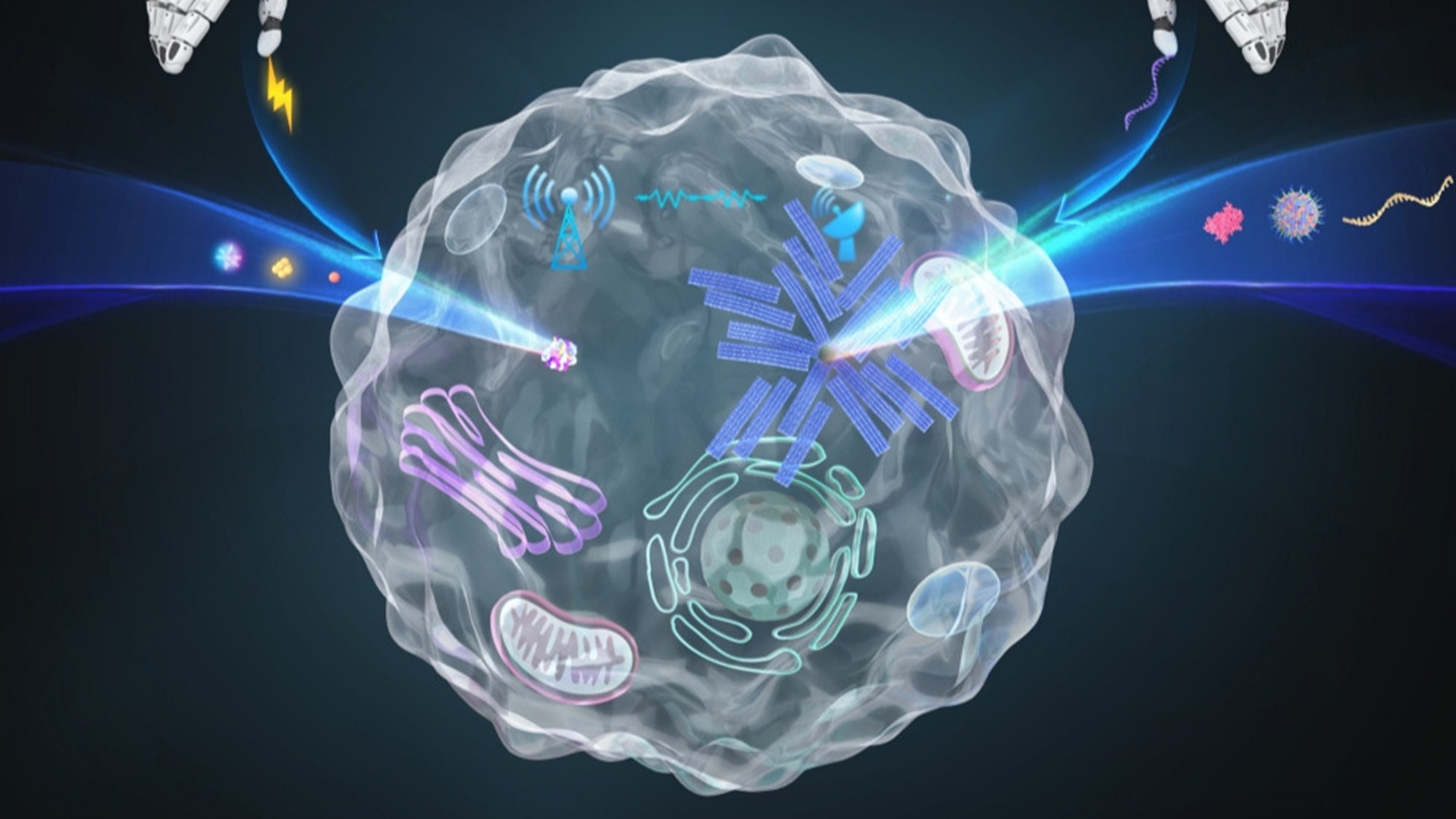 DNA architecture: Researchers build self-organizing pores for artificial cells