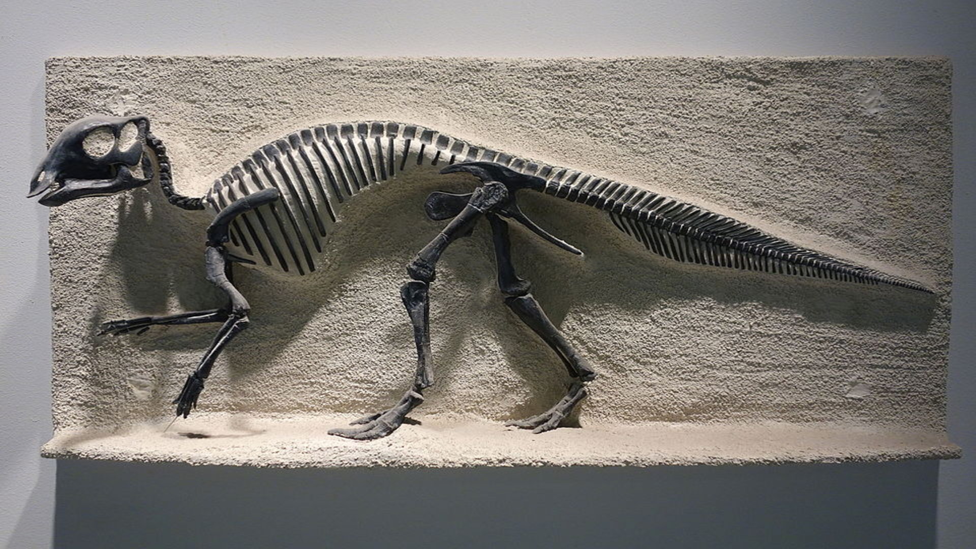 Earliest direct evidence of bird-like feeding of young found in ‘good mother’ dinosaurs