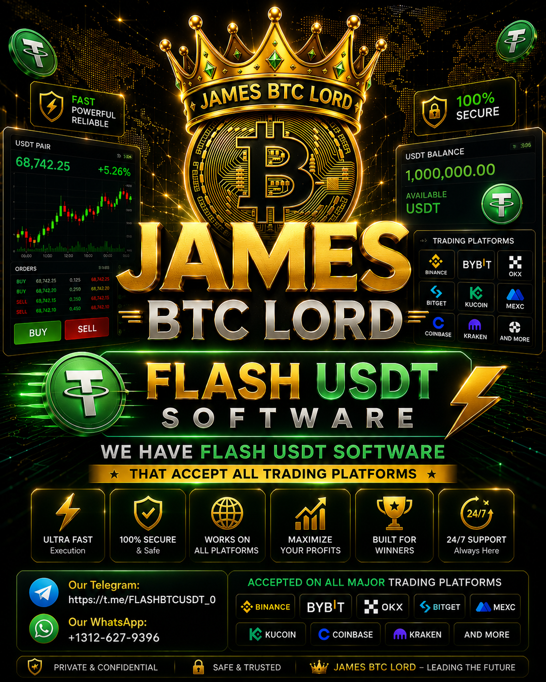FLASH USDT SOFTWARE