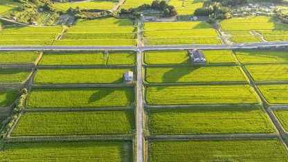 (g+) Agriculture: Asia’s agri-tech startups offer answers to Iran war supply chain crunch