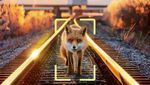 KI-Kameras sollen Wildtiere vor Zügen schützen
