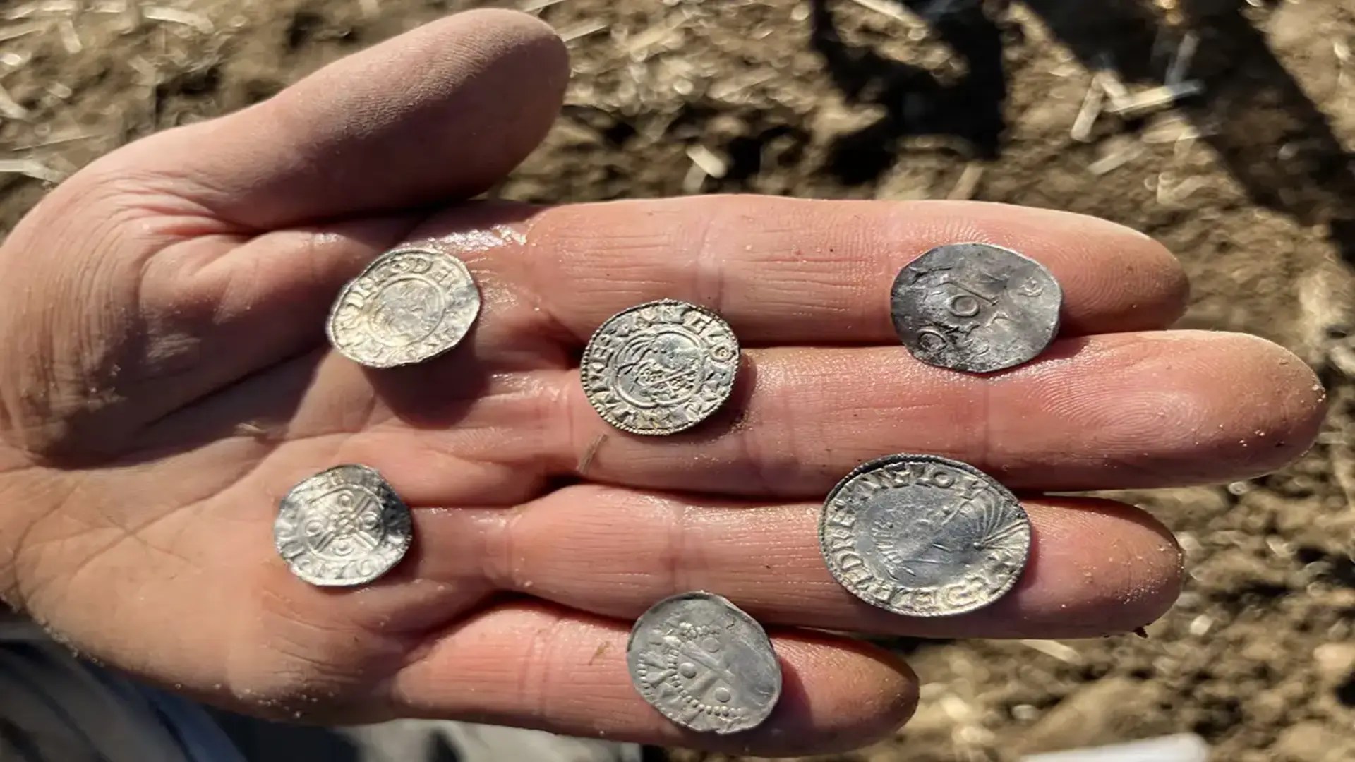 Largest Viking Age coin hoard ever found in Norway astonishes archaeologists