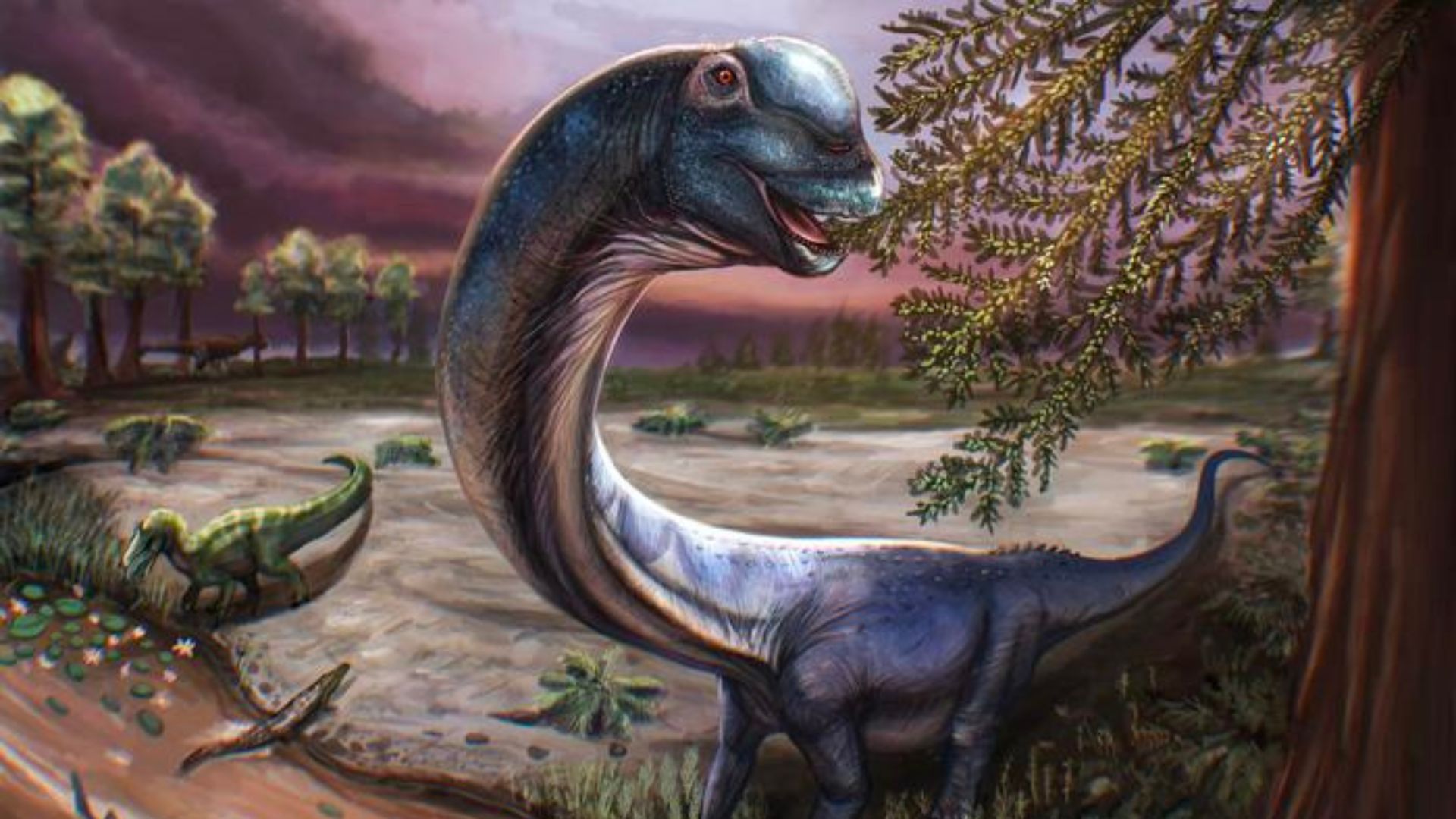‘Last Titan’: 120 million-year-old remains of massive long-necked dinosaur discovered
