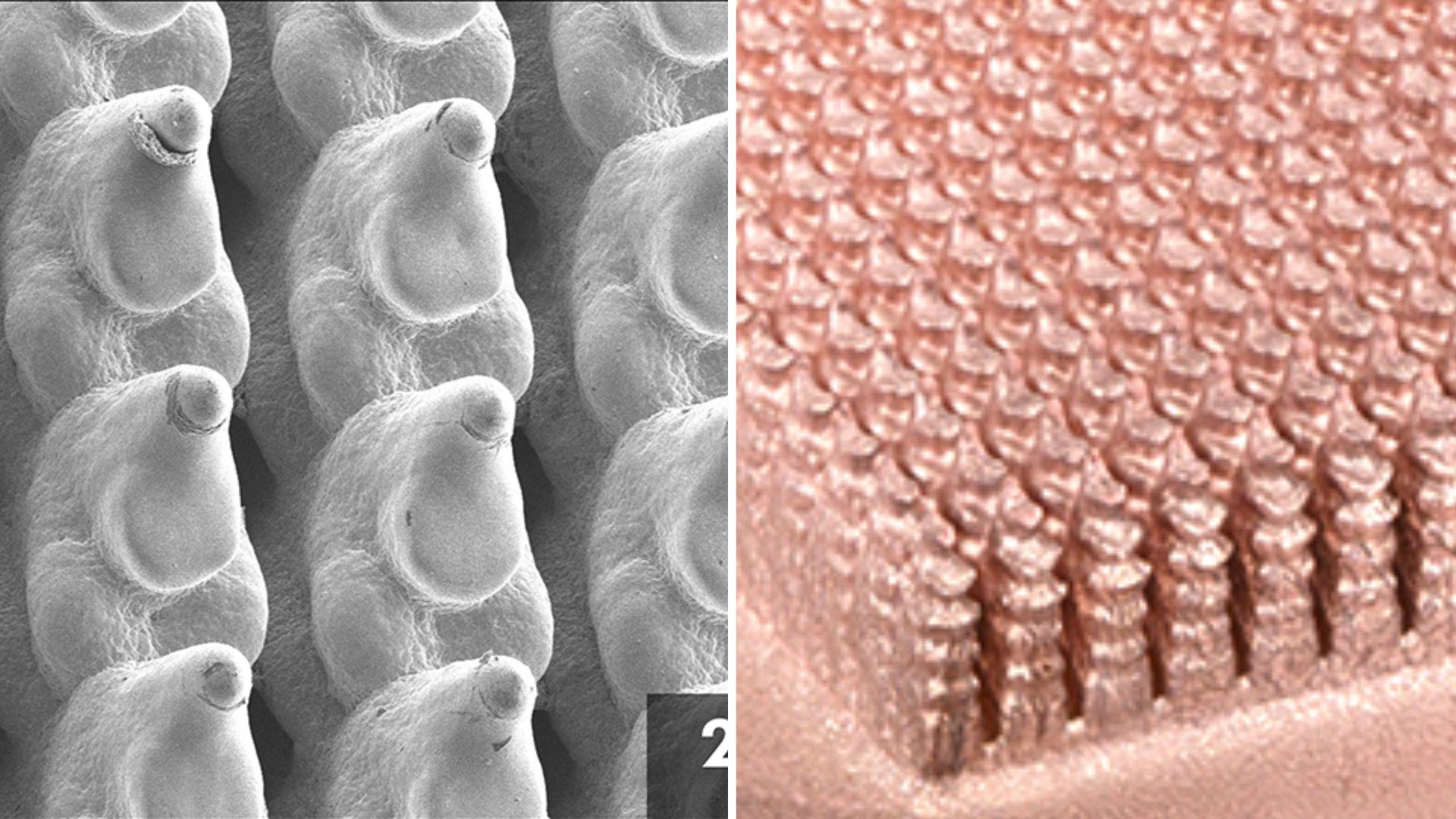 New 3D-printed copper cold plates could slash data center cooling energy by 98%