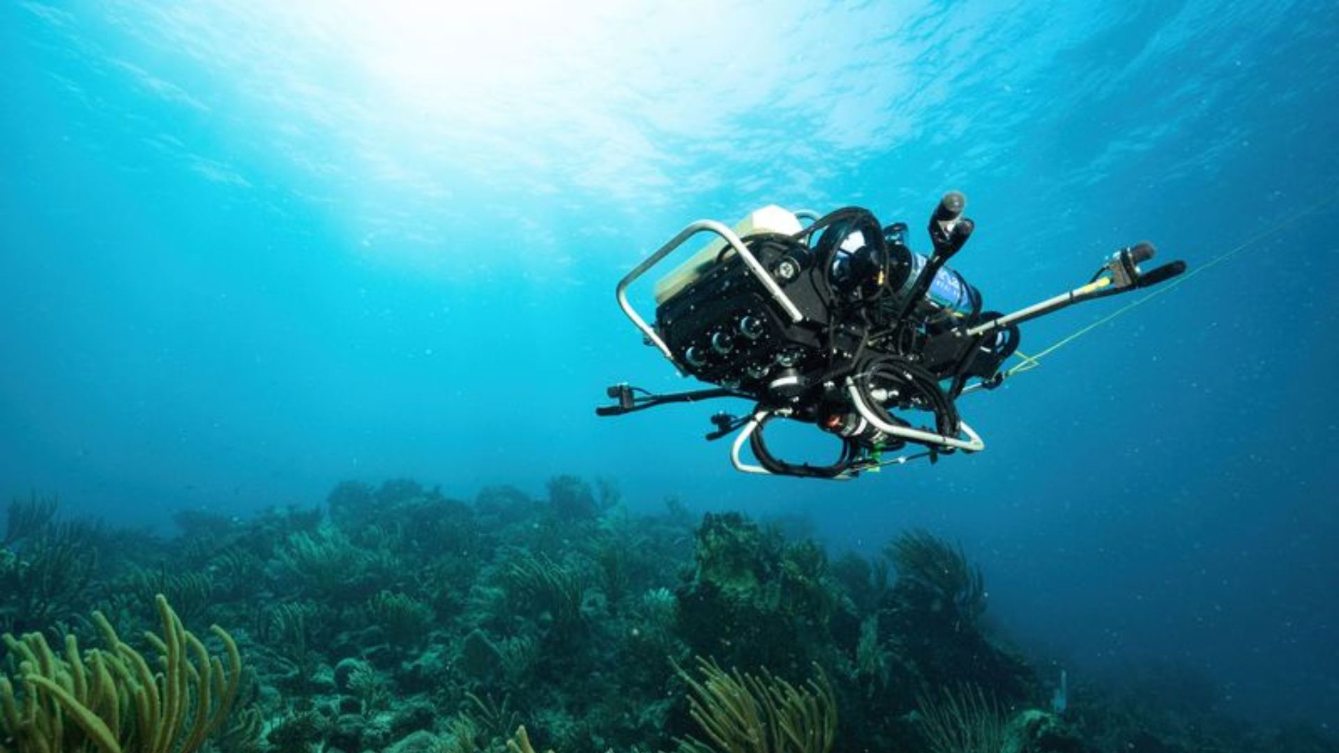New autonomous reef robot follows shrimp snaps and fish calls to map marine life zones