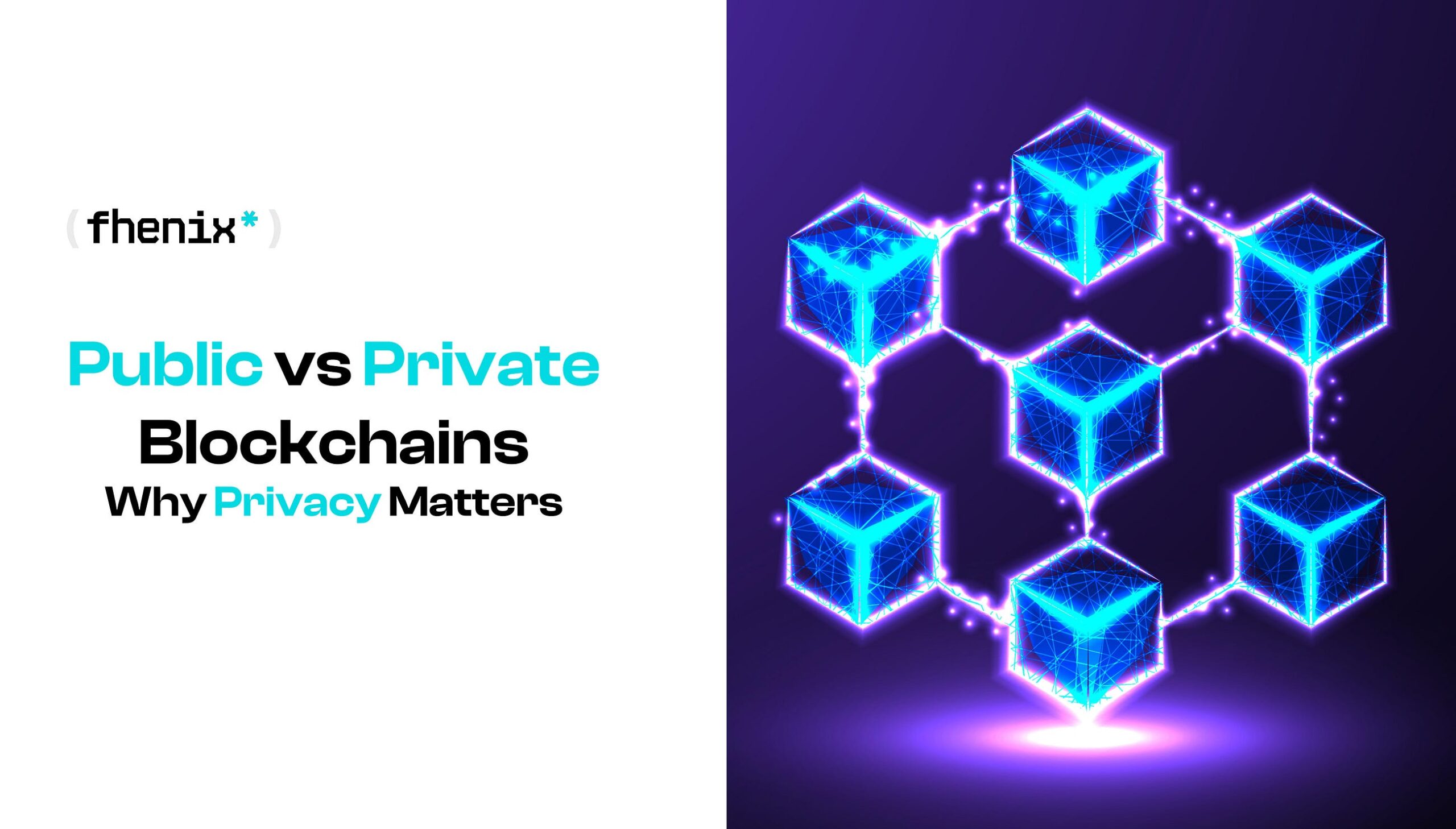 Public vs Private Blockchains: Why Privacy Matters