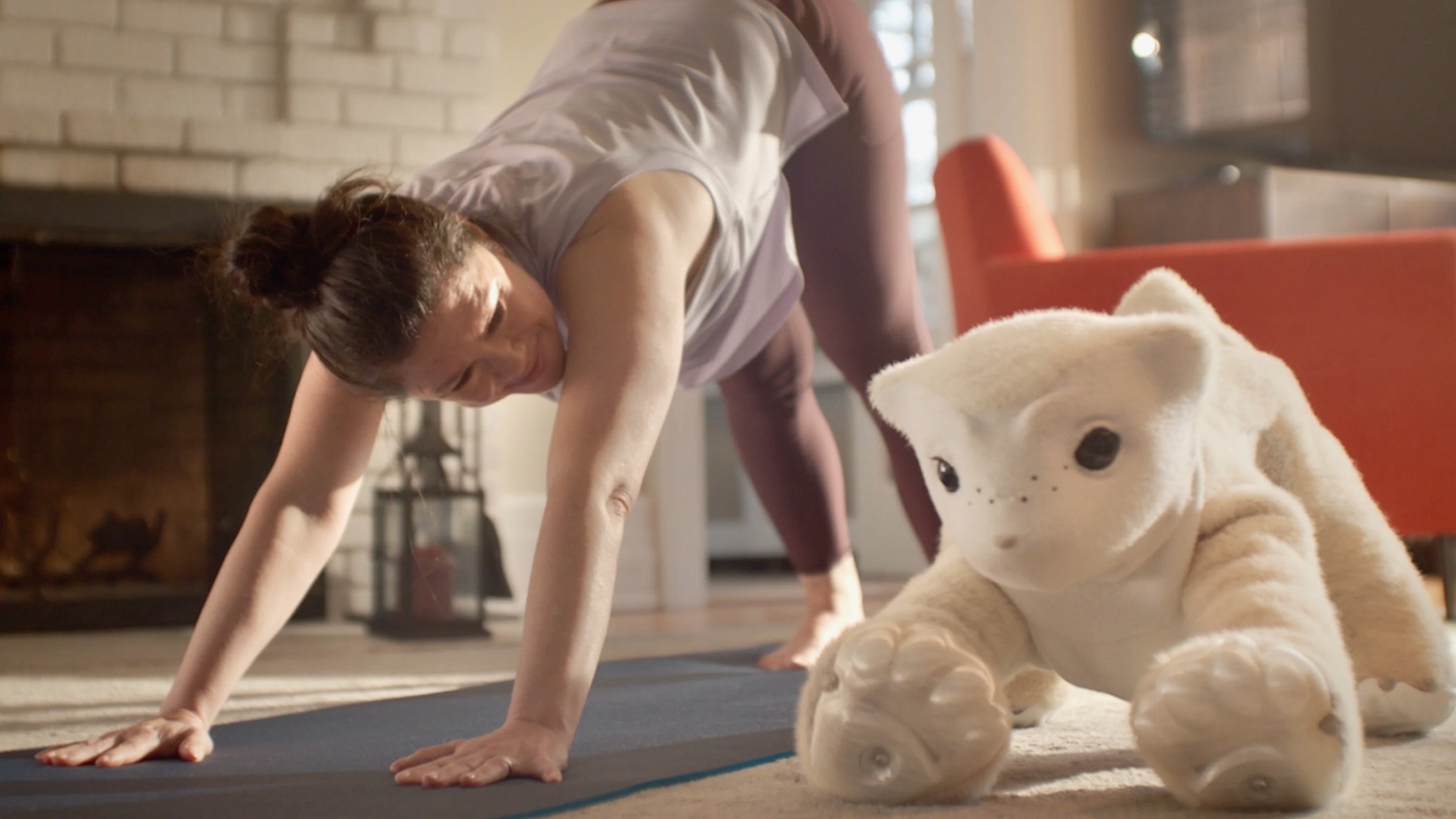 Roomba inventor unveils a companion robot thats more pet than helper