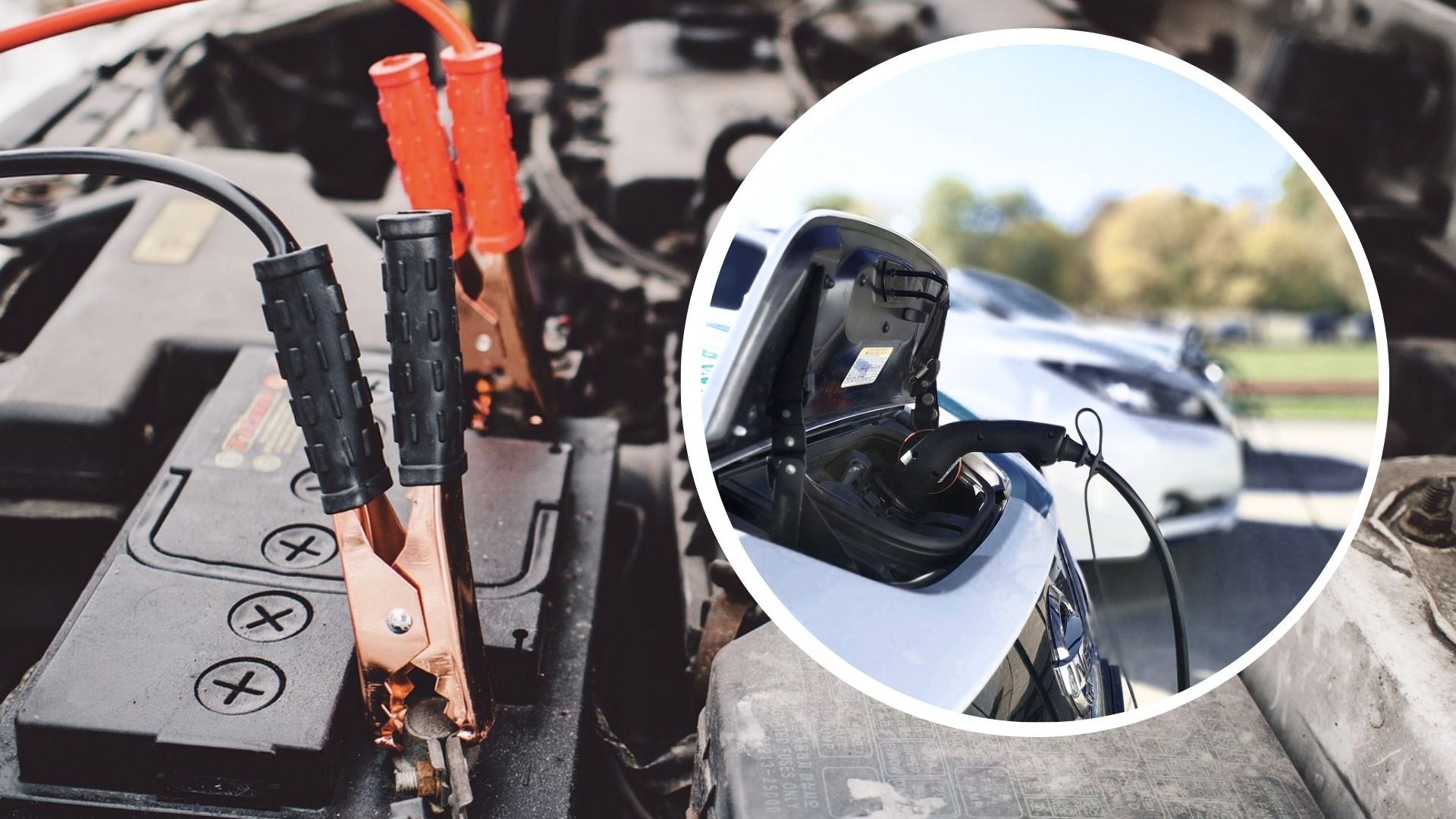 Sodium-ion batteries developed in China could become low-cost rival to Tesla’s batteries