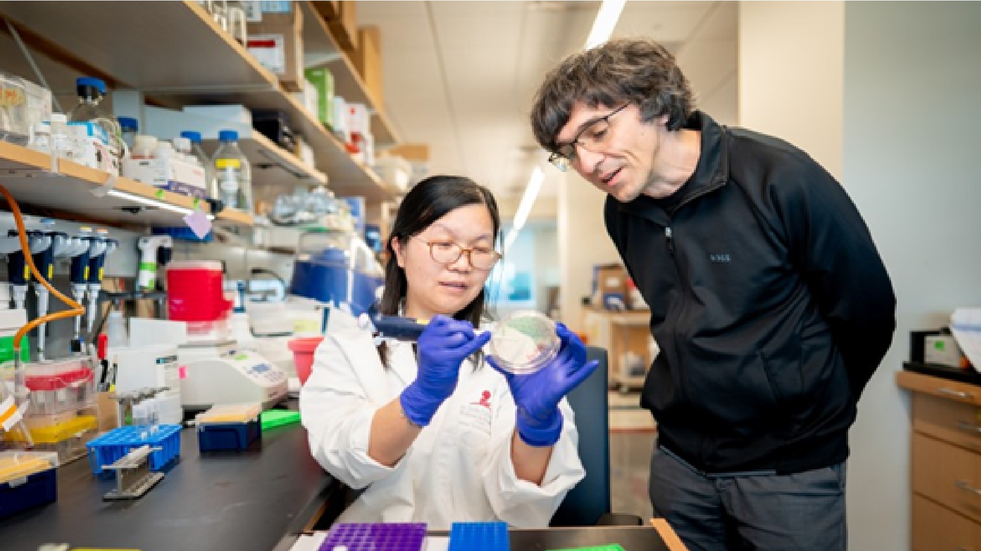 Study reveals how cells spin ‘jumping genes’ into tight molecular knots to protect genome