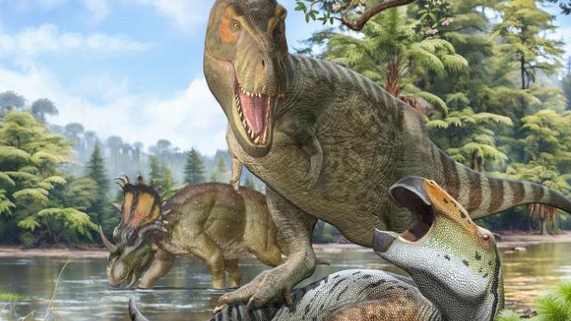 Study reveals real reason T. rex had tiny arms: Massive skulls took over the hunt