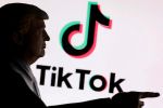 TikTok-Strafe soll Trumps Bauprojekte in Washington finanzieren