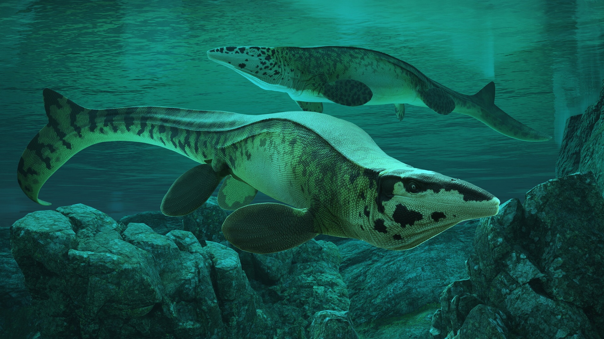 Tylosaurus Rex: Scientists name formidable extinct 43-foot ocean predator from Ice Age