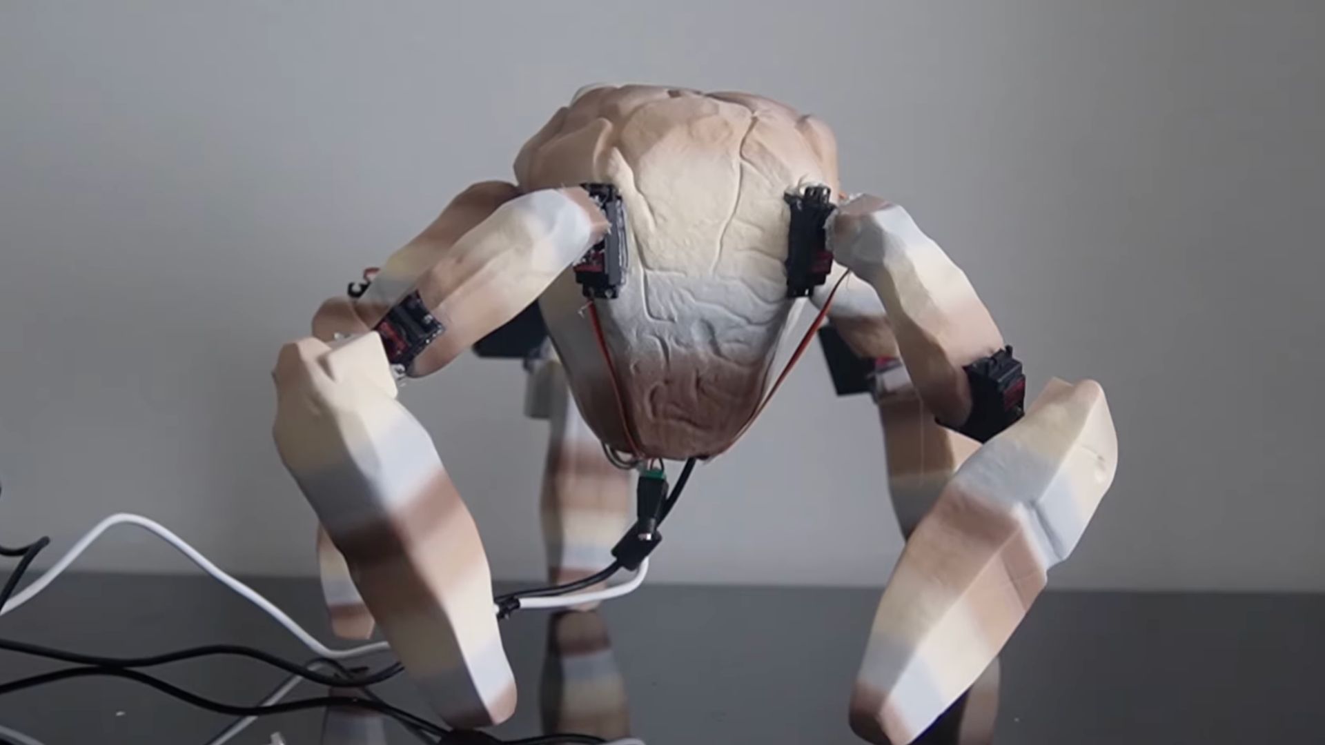 Video: ‘Project Hail Mary’ fan builds alien Rocky robot that talks and gives fist bumps