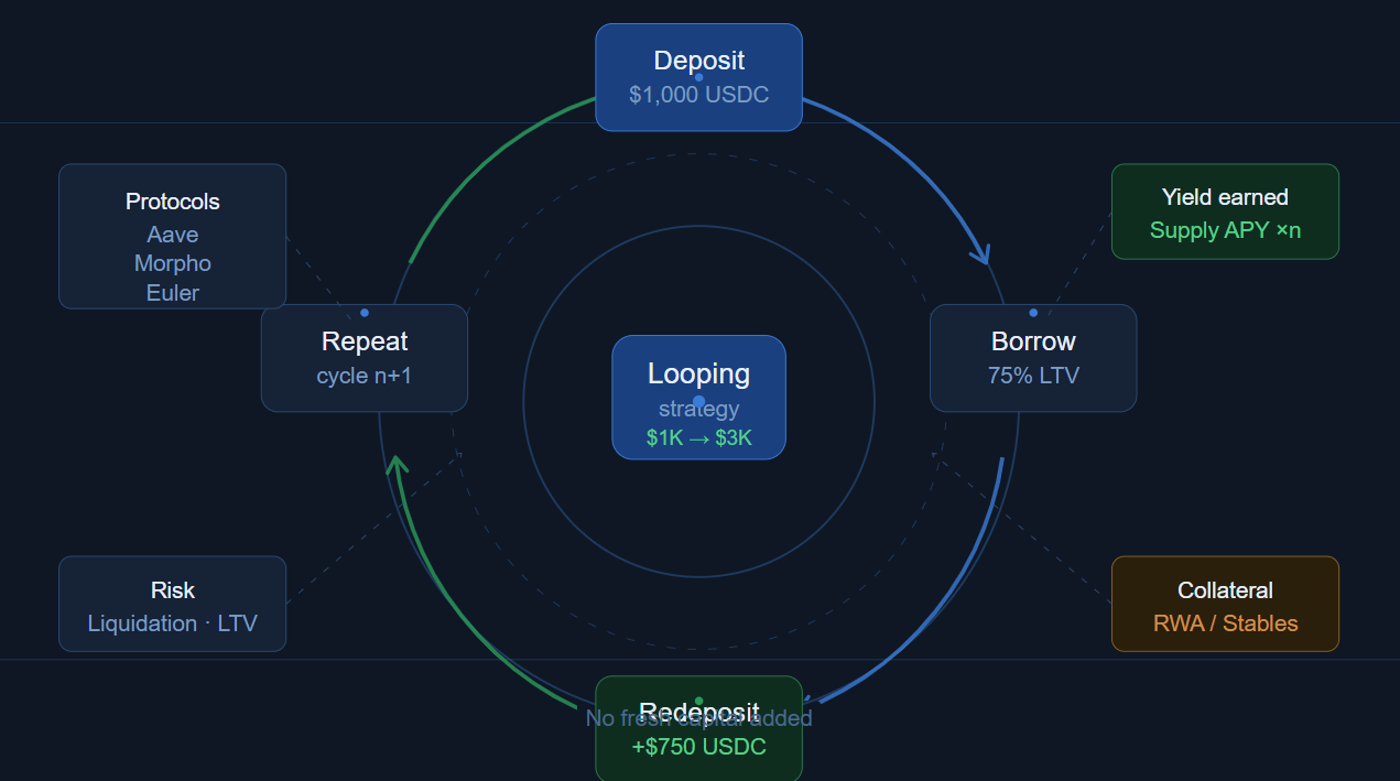 What Is Looping in DeFi and How Does It Work?