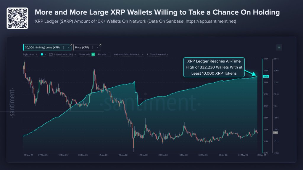 XRP Ledger Hits Record High In 10K+ Wallets As Larger Holders Accumulate