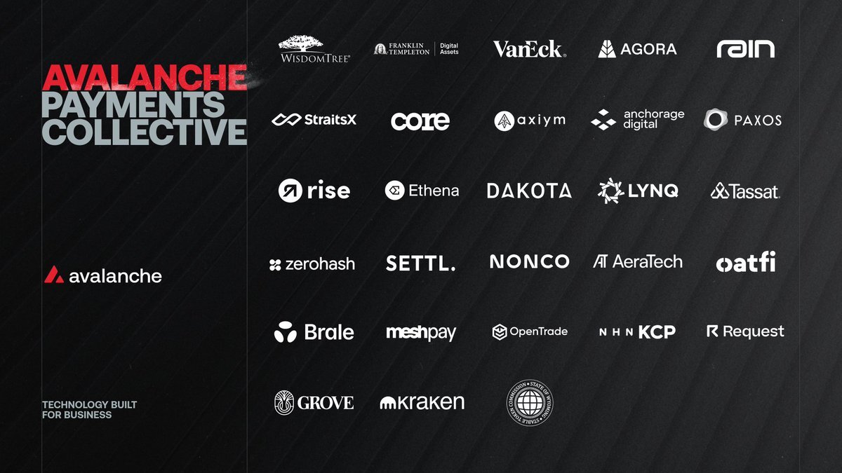 Avalanche Launches Payments Collective With A 28-partner Payments Alliance