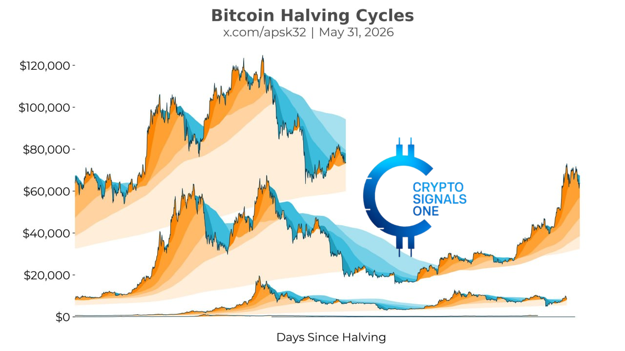 Bitcoin Halving Cycles: Are We Following History Once Again?
