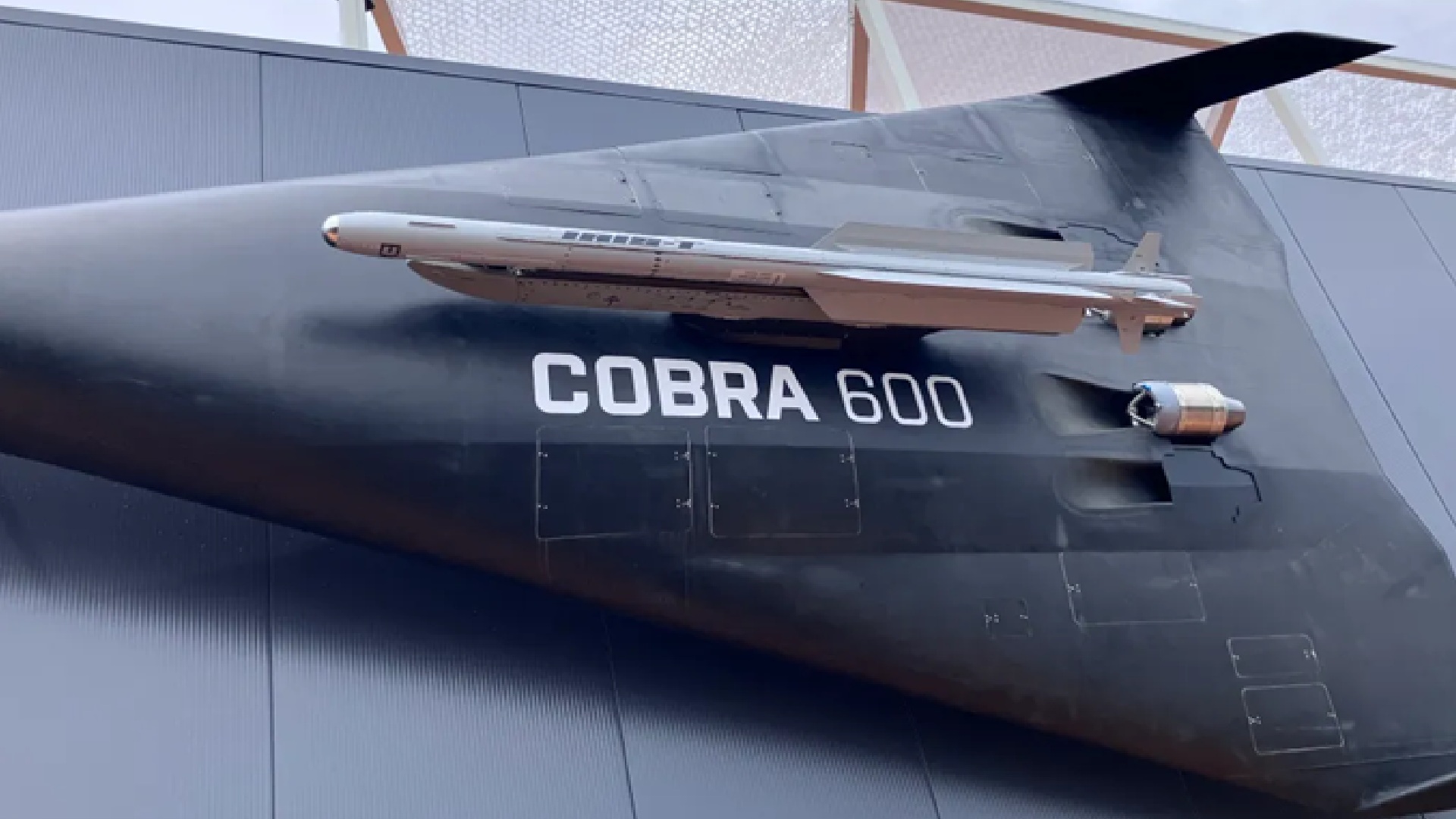 Cobra 600: Germany’s 620mph jet drone interceptor with IRIS-T and 155-mile range