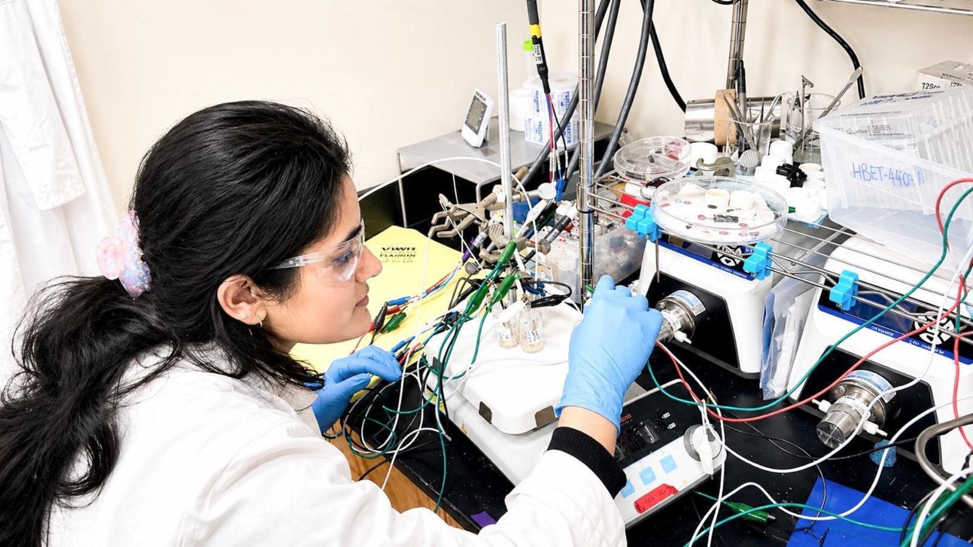 Critical rare earth elements recovered from coal waste with new acid-free process