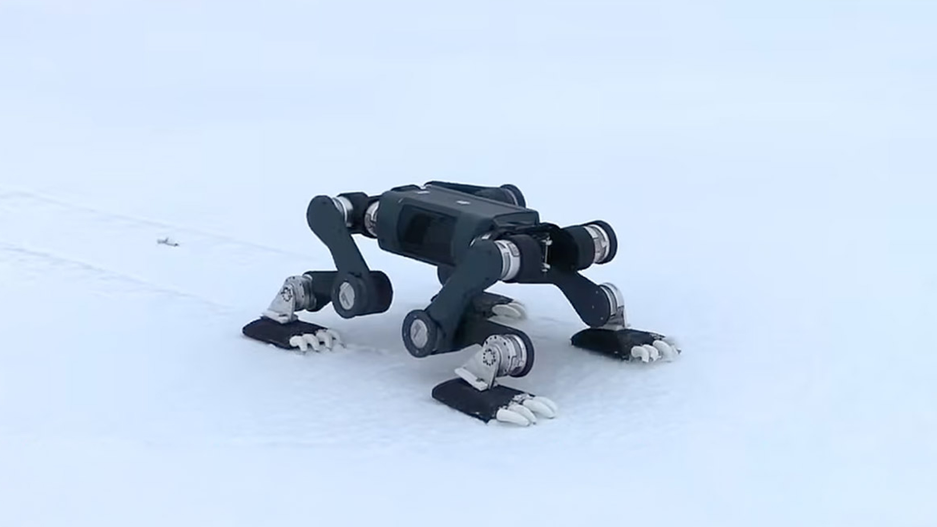 First-ever: Four-legged robot dog successfully walks across treacherous Arctic ice floes