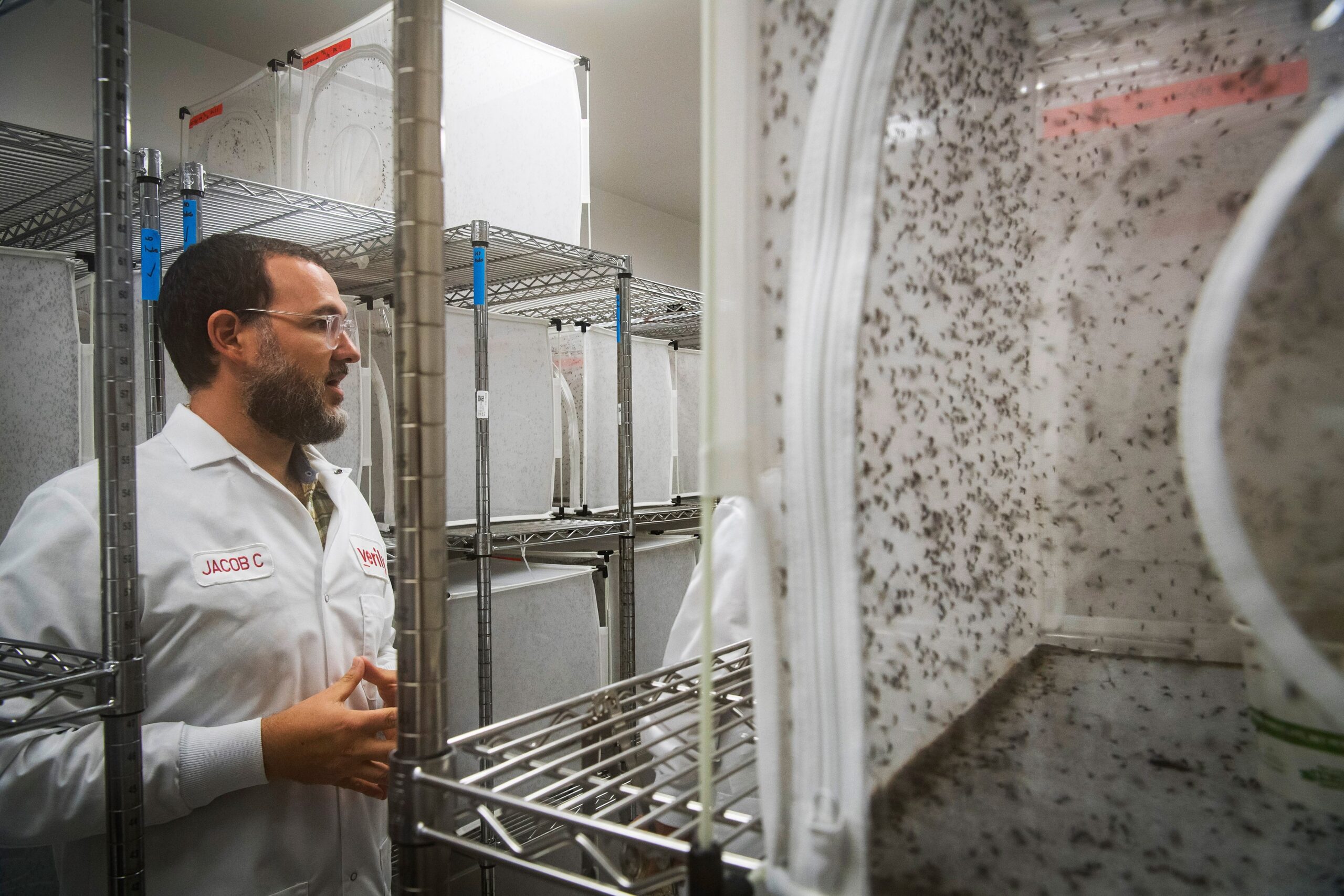Google wants to release millions of mosquitos into the sky. Its a good thing.