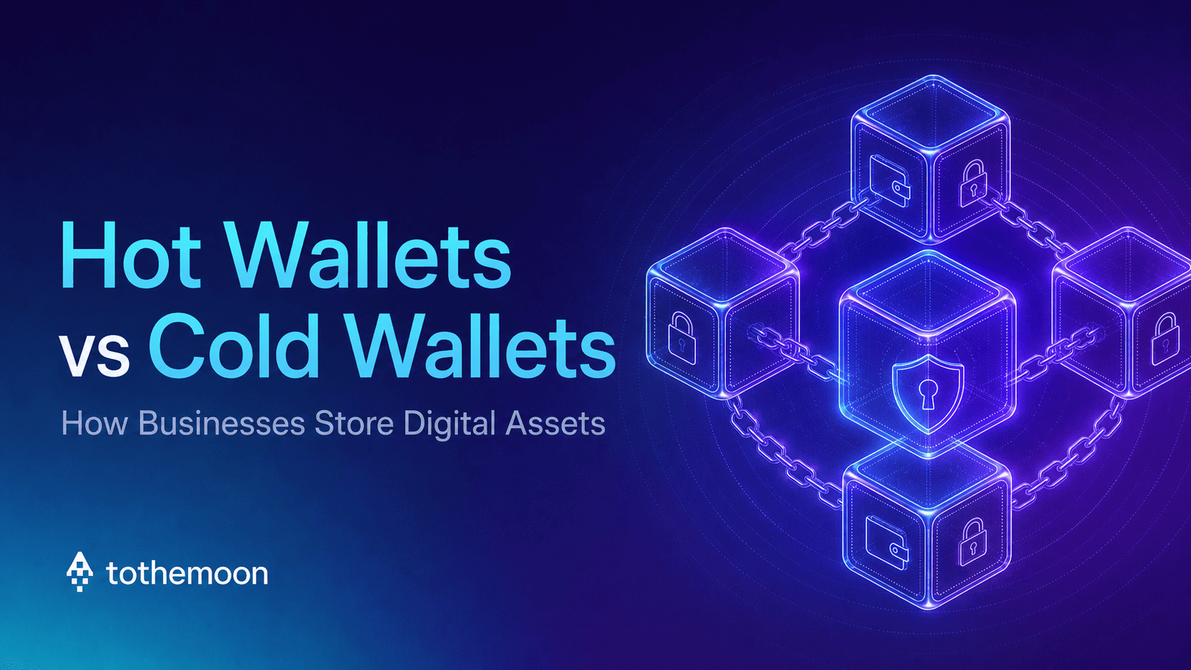 Hot Wallets vs Cold Wallets: How Businesses Store Digital Assets