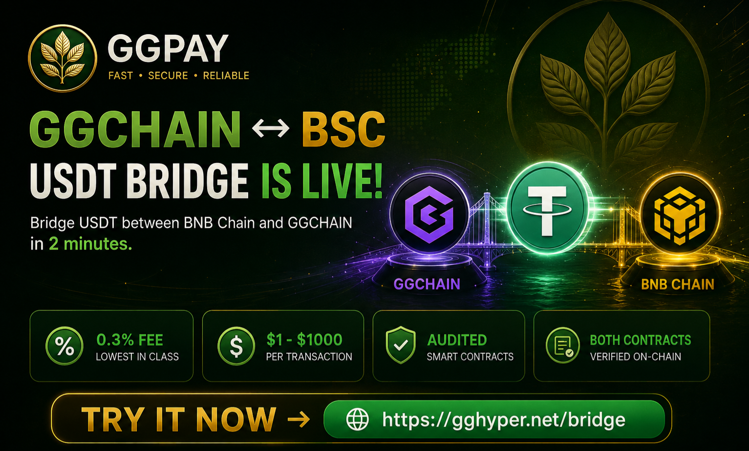 https://gghyper.net/bridge