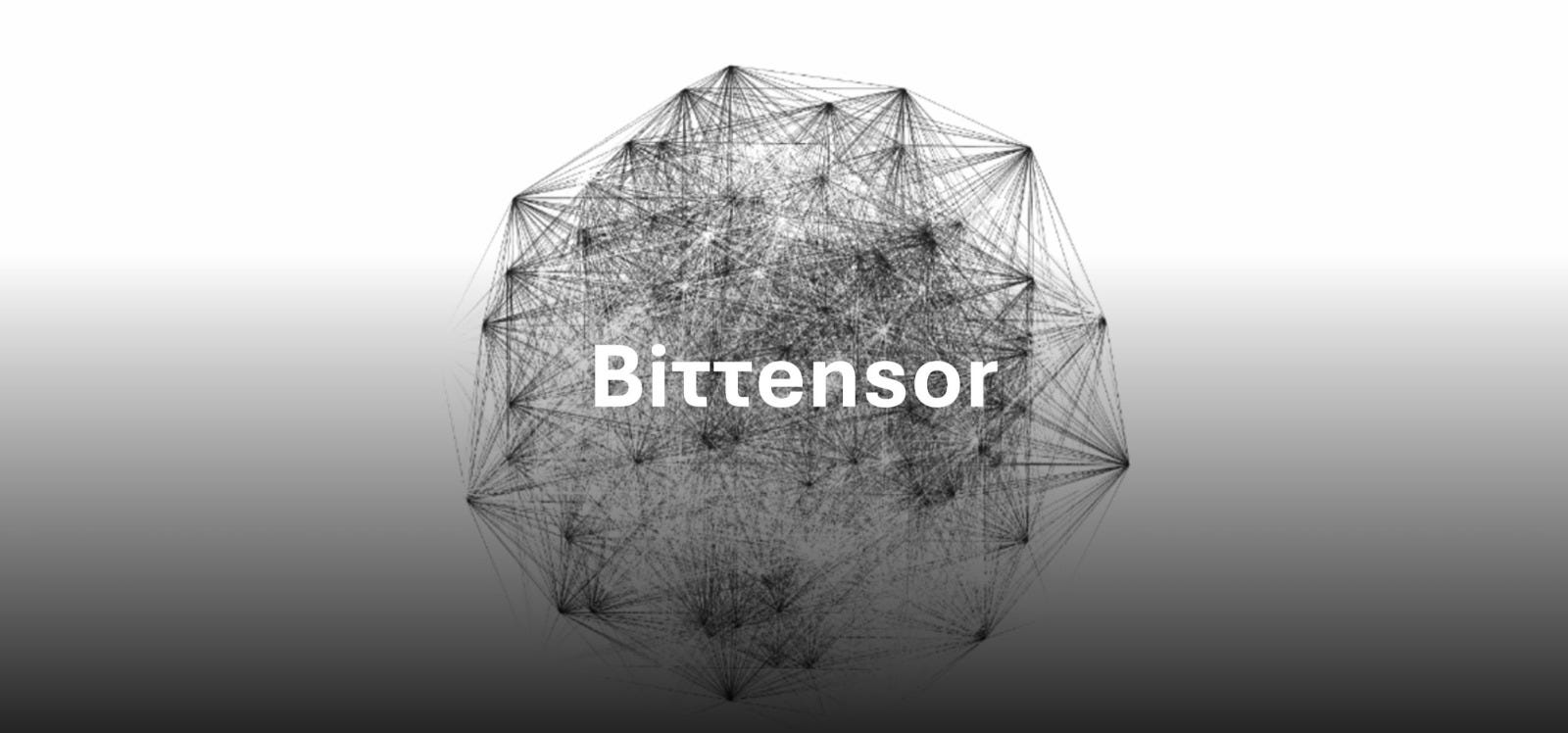 My Journey into Bittensor: Exploring the Future of Decentralized AI Through Co-Learning Camp 21