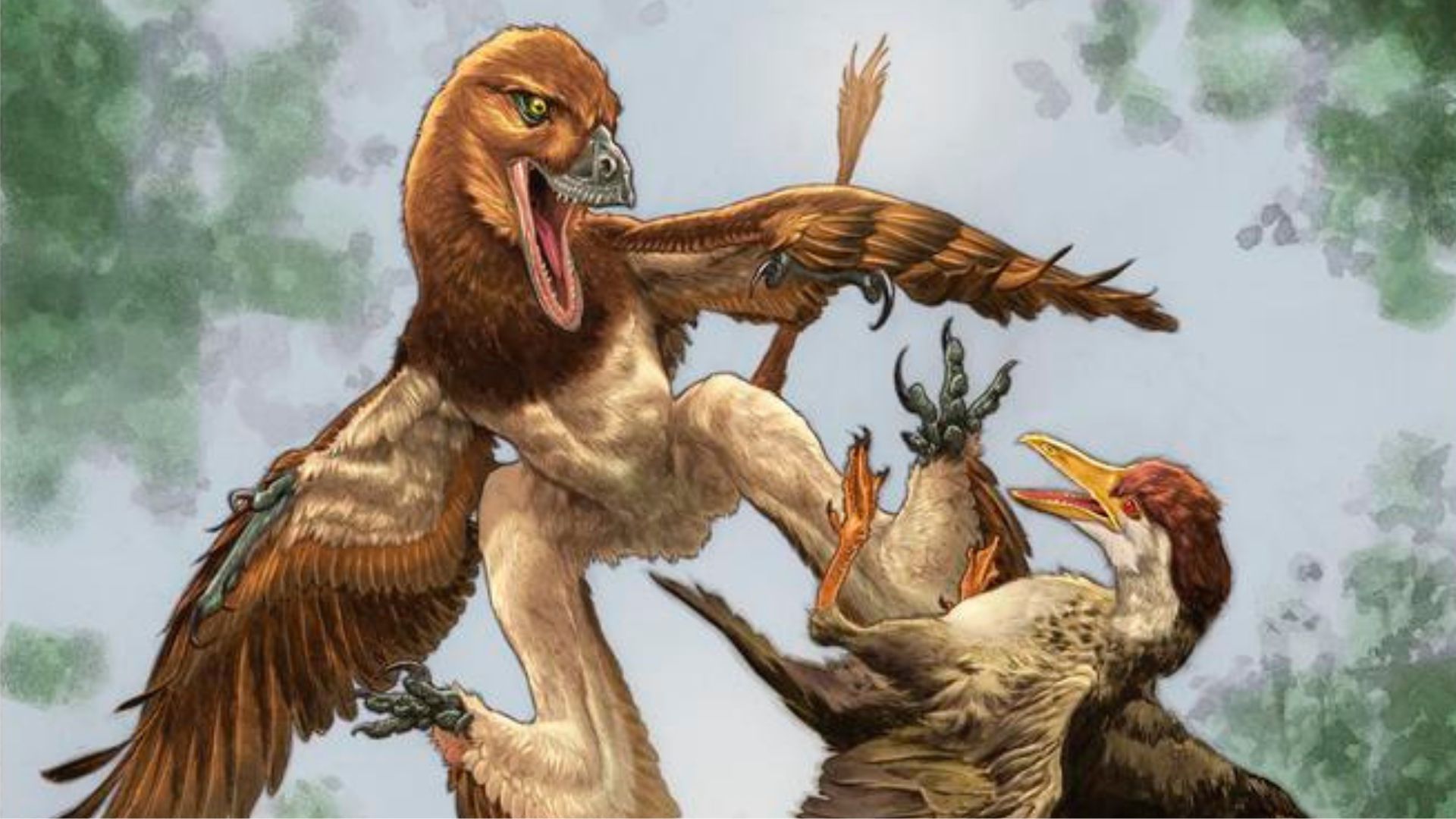 New species of four-winged dinosaur that preyed on early birds discovered in China