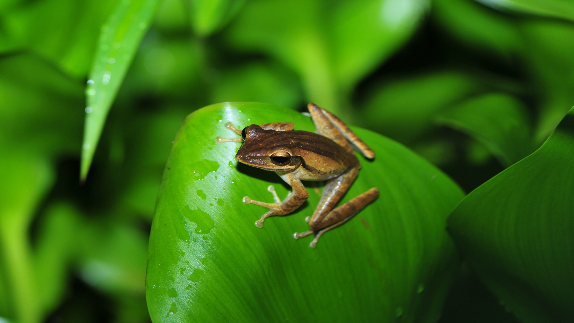 Researchers inspect 40,000 sites, 5,100 species; found massive climate change impact