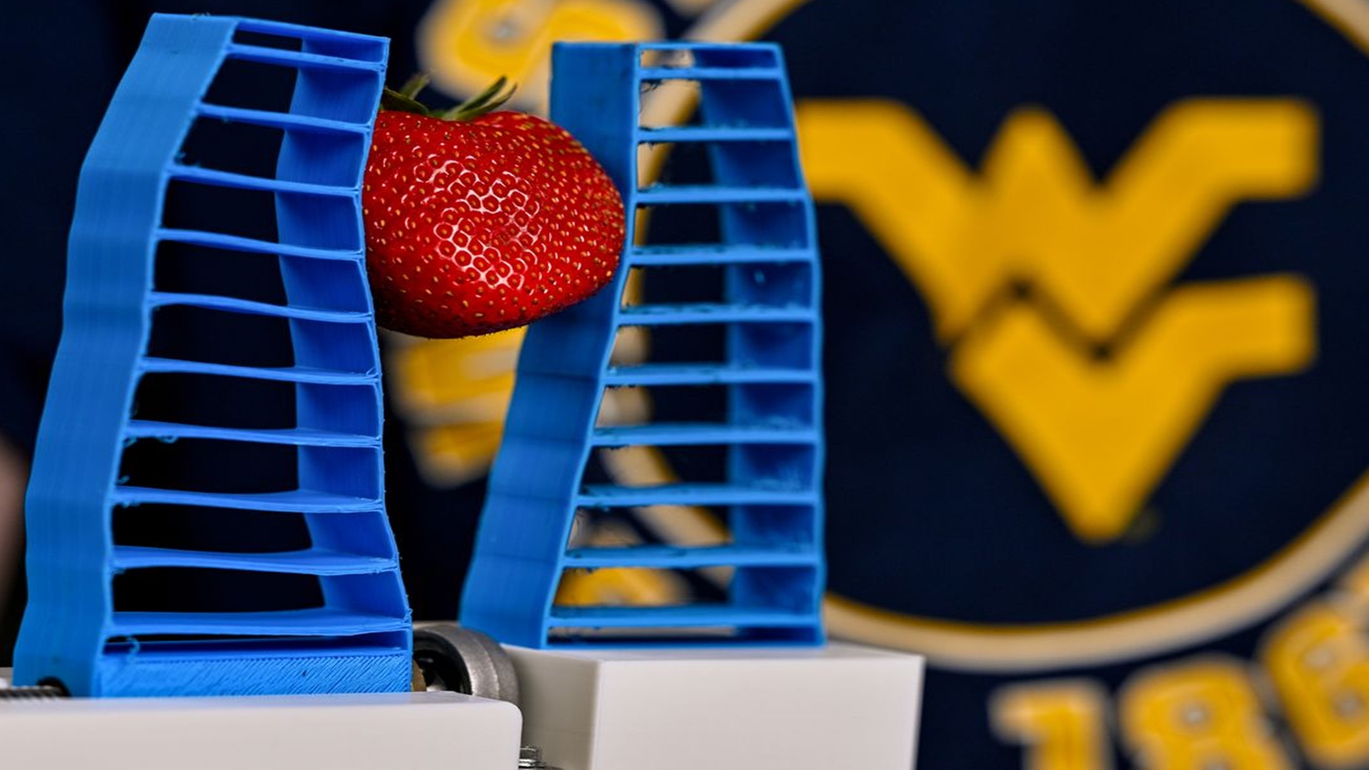 Robot hand uses touch and vision to harvest ripe fruit with near-100% accuracy