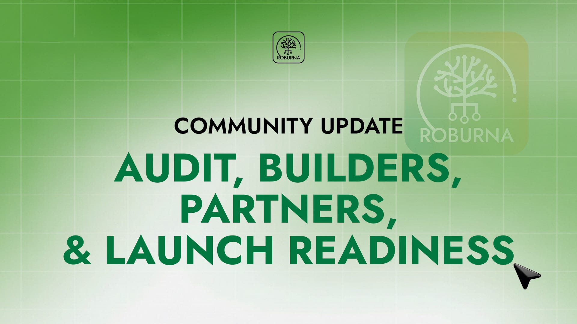 Roburna Community Update: Audits, Builders, Partners, and Launch Readiness
