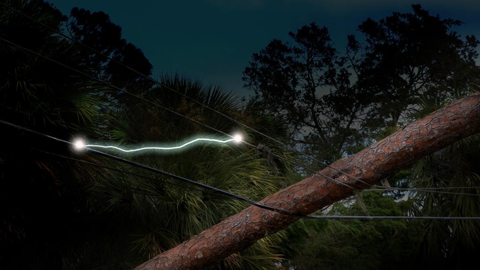 Smart US tool detects dangerous power line arcing before wildfires can start