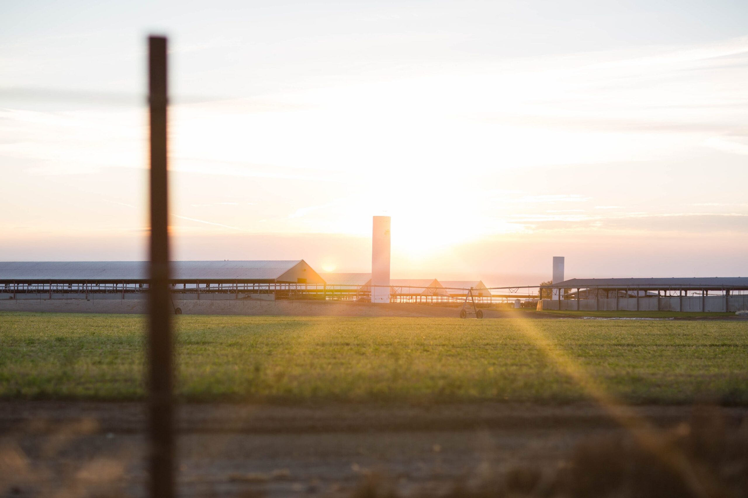 Someone recently asked if Grow is the world’s largest agricultural blockchain.