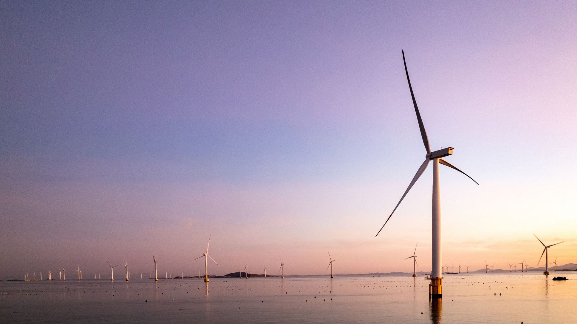 World’s first tension-leg platform floating wind turbine set to be deployed in China
