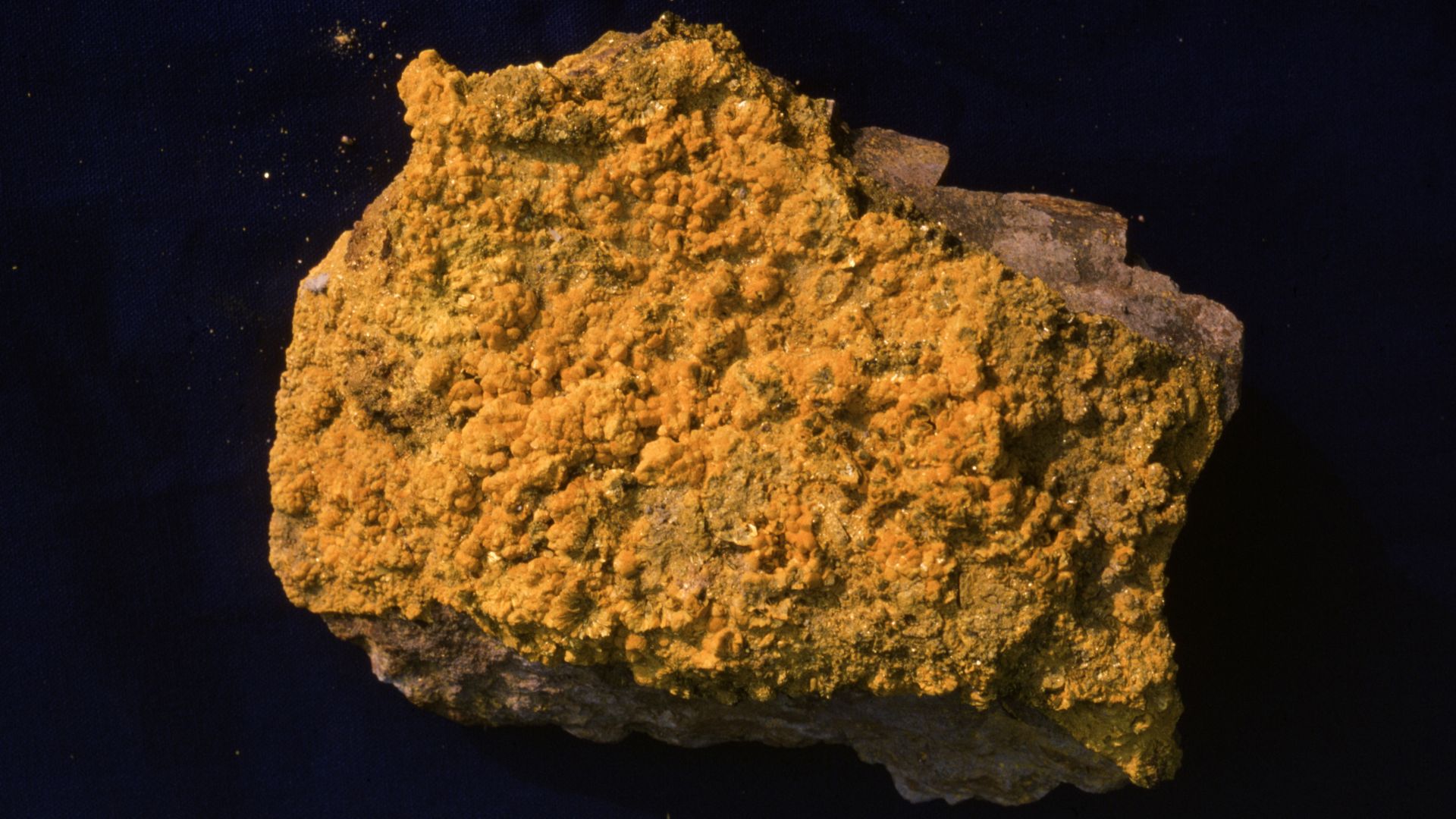 11 million pounds of uranium may have been shipped to China unofficially, finds study