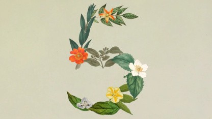 Anthropic: Sonnet 5 verringert Leistungslücke zu Opus 4.8