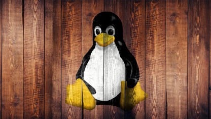 Anzeige: Linux: aus der Nische in den Mainstream?