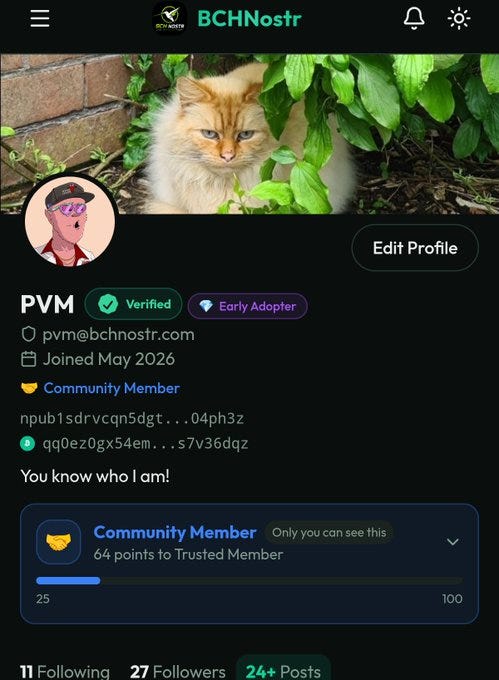 BCH Nostr Brings Decentralized Socials To The World