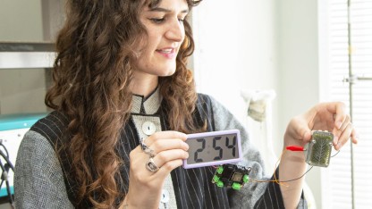 Biozelle: Algen können Batterien ersetzen