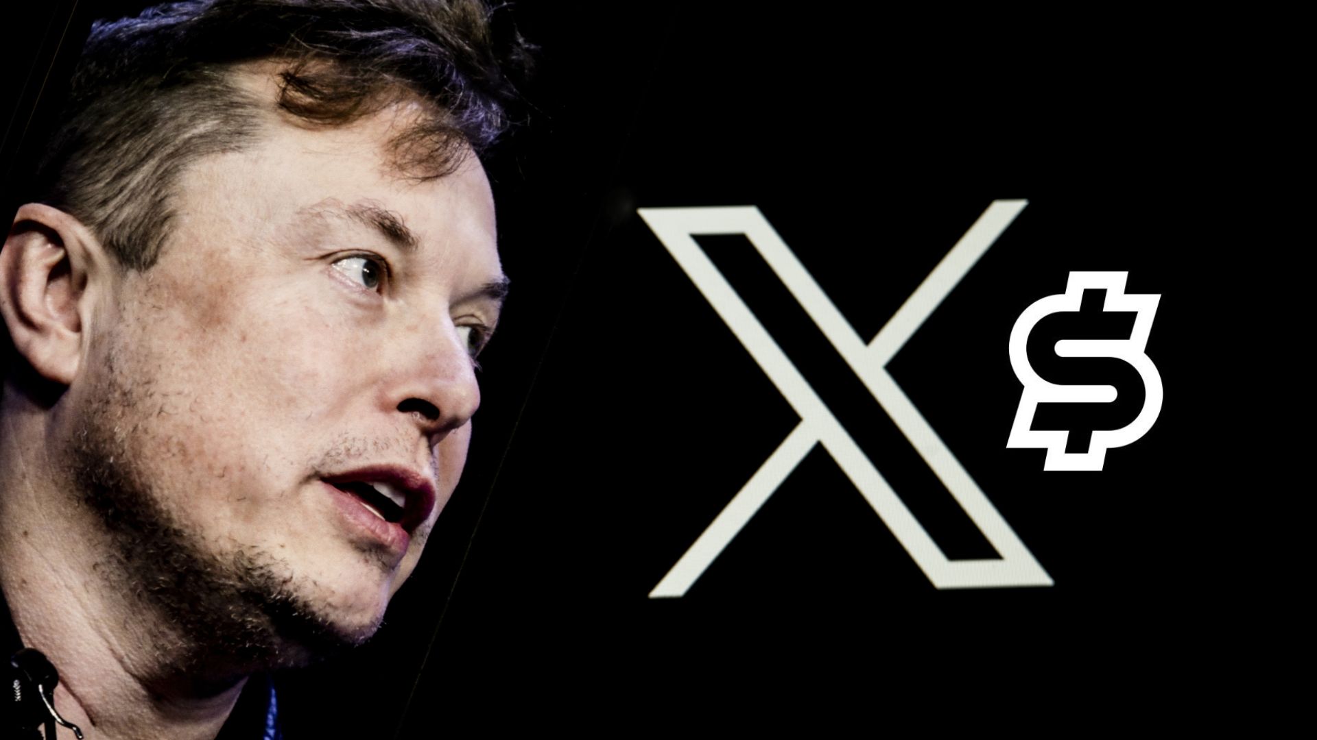 Elon Musk expands X into US banking, offering up to 6% annual yield with X Money