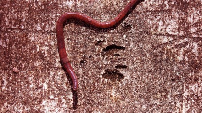 (g+) Miasma-Lieferkette: Warum gültige Signaturen plötzlich nicht mehr reichen